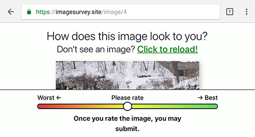 Screenshot del sondaggio con un'immagine tagliata in basso dalla viewport e dallo slider di valutazione.